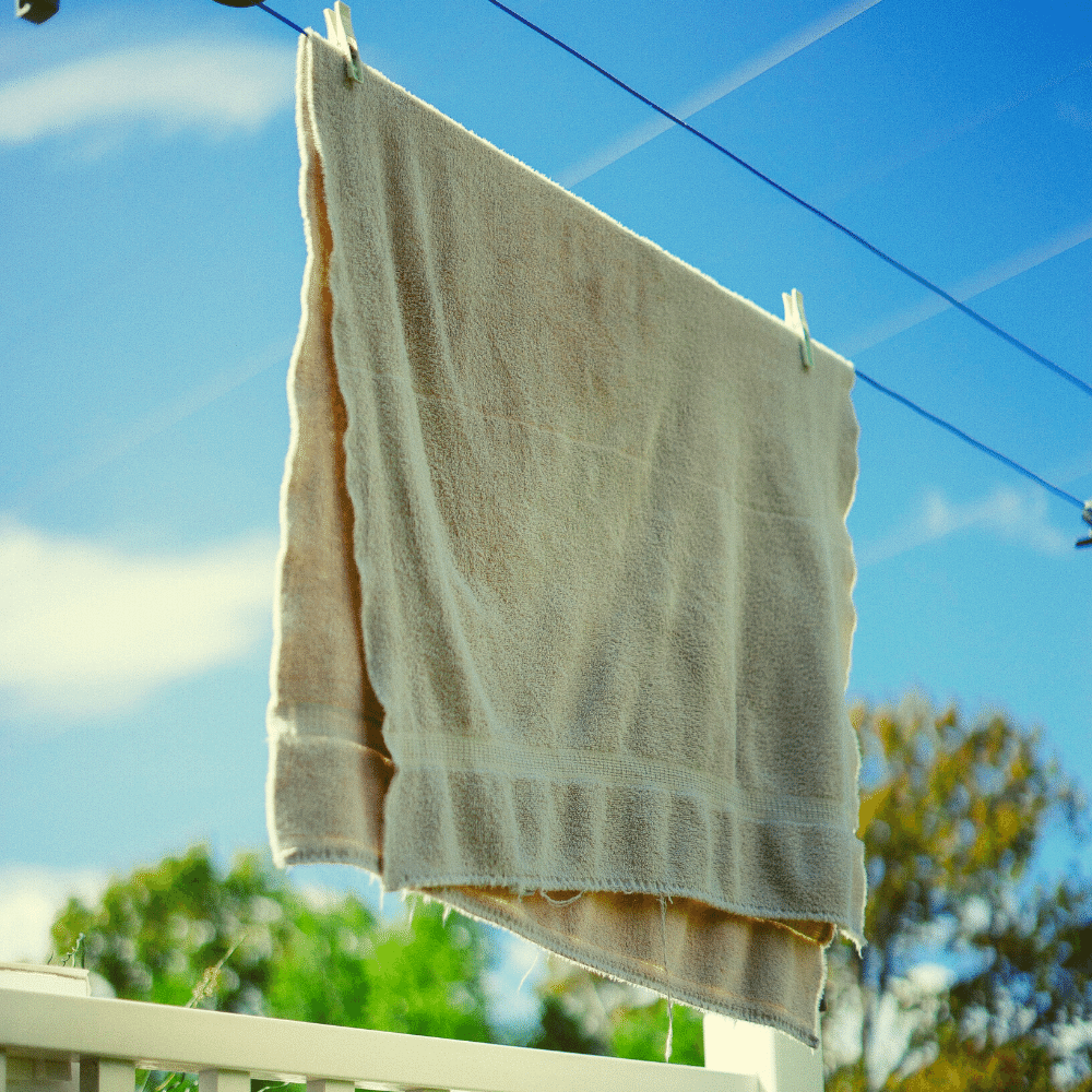 Best Towel Drying Rack? Find Out Which One We Chose!