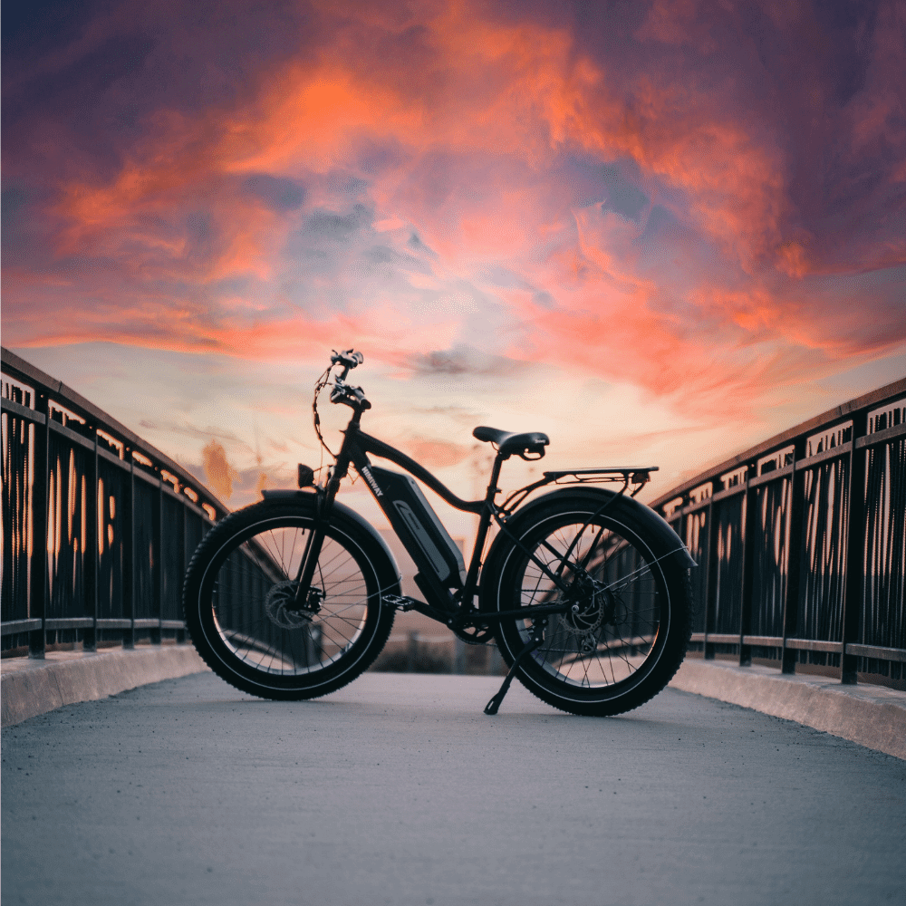 electric bike rack