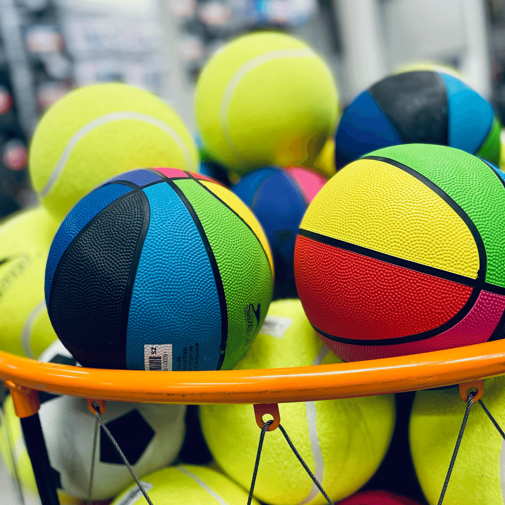 garage ball storage